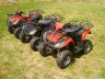 CMP Quad ATV 110 cm3 automat + wsteczny I Hamer - Dino