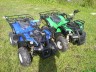 CMP Quad ATV 125 cm3 automat + wsteczny M Pyton-Mini Cat Model 2015