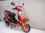 Skutery - 50cc KINGWAY IBIS 